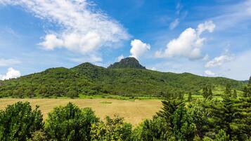 Paisagem montanhosa com um pico imponente, vegetação verde exuberante e céu azul límpido.