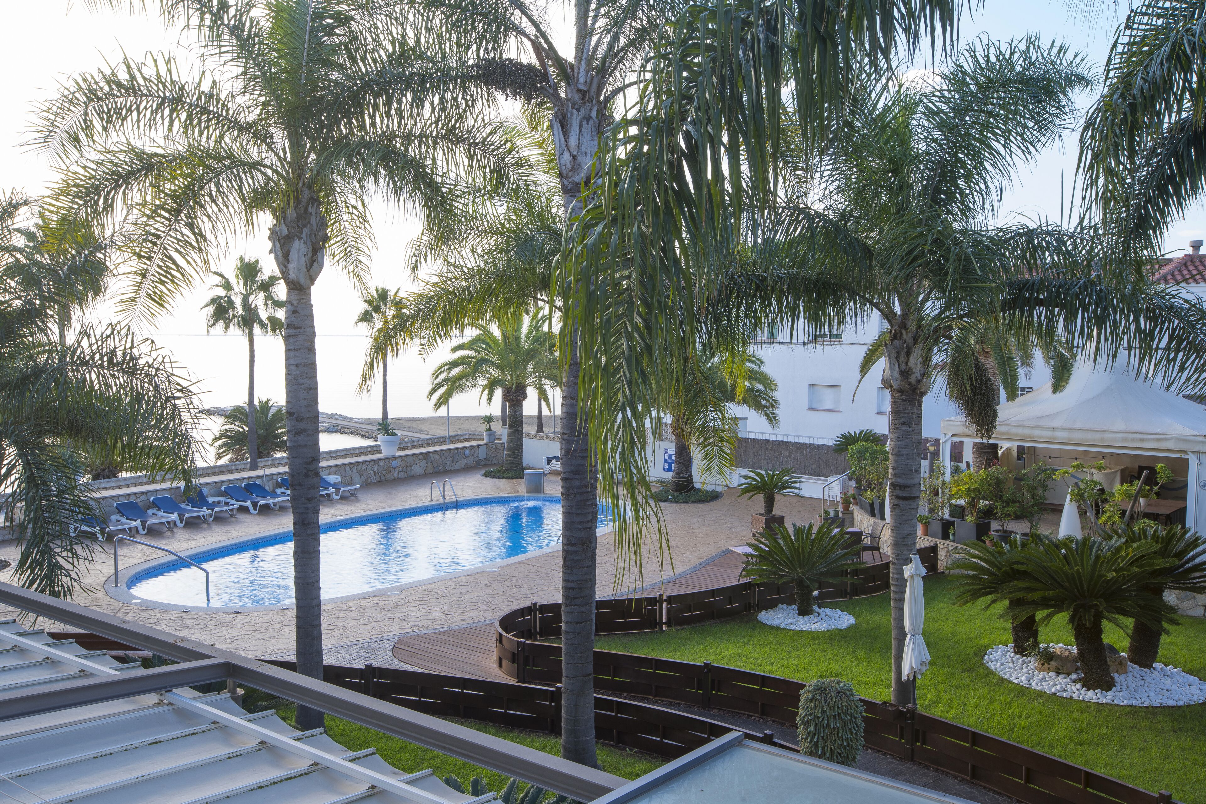 A pool area with palm trees, lounge chairs, and a white building in the background.