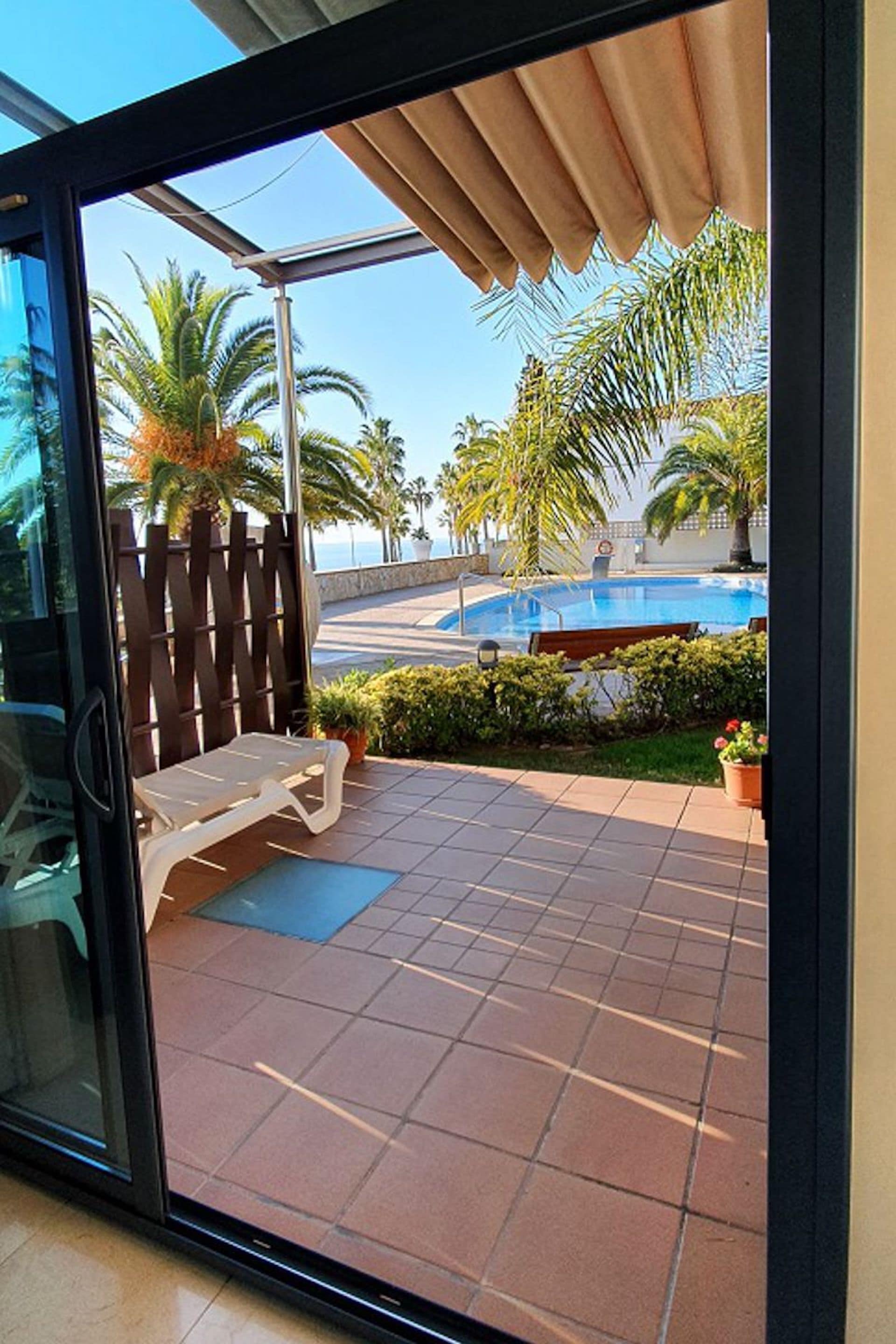 A glass door leading to a patio with a pool, palm trees, and a wooden fence.