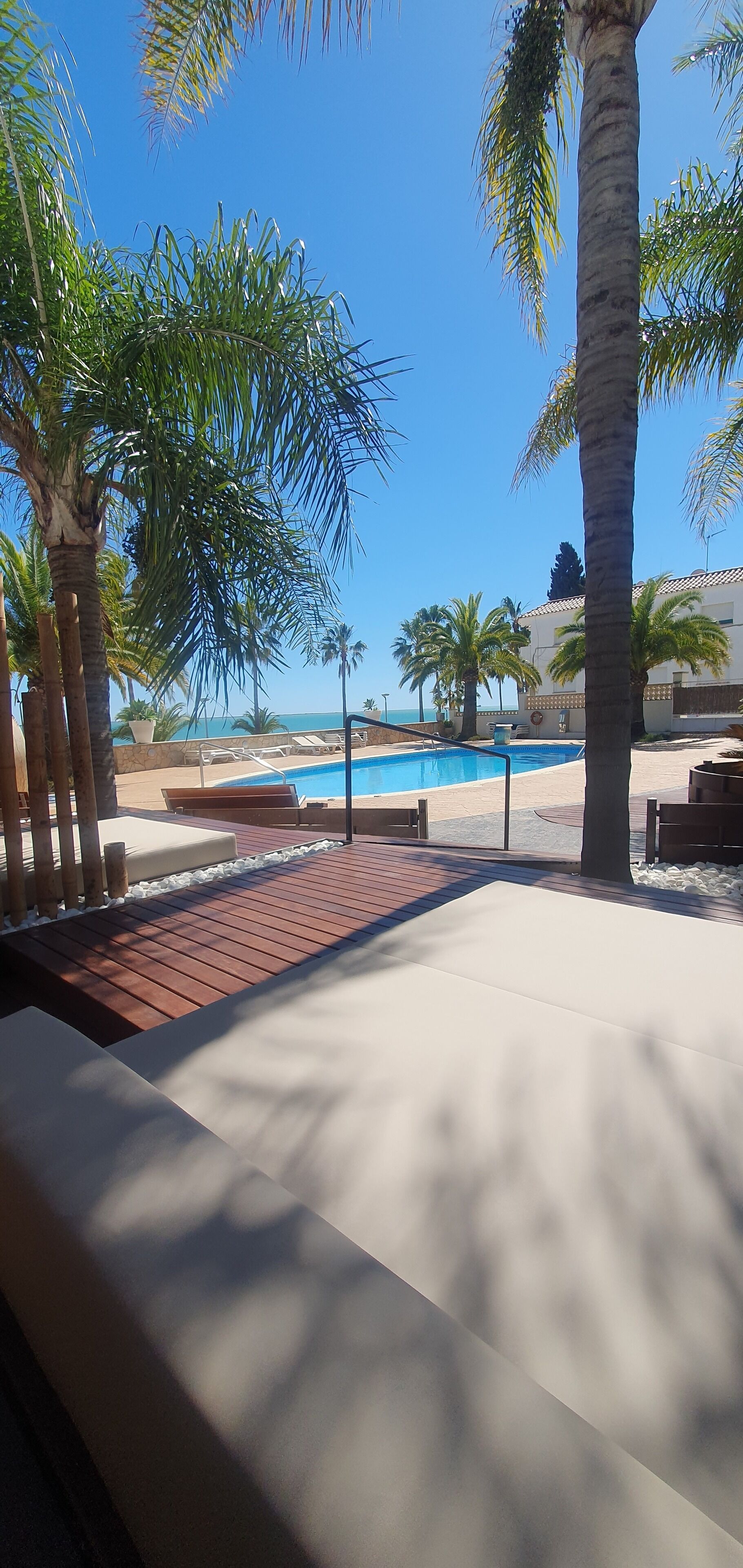 Zona de piscina con palmeras, sillas de descanso y vista al océano.