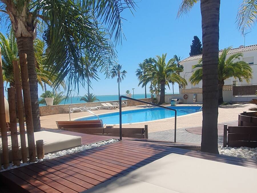 Zona de piscina con palmeras, sillas de descanso y vista al océano.