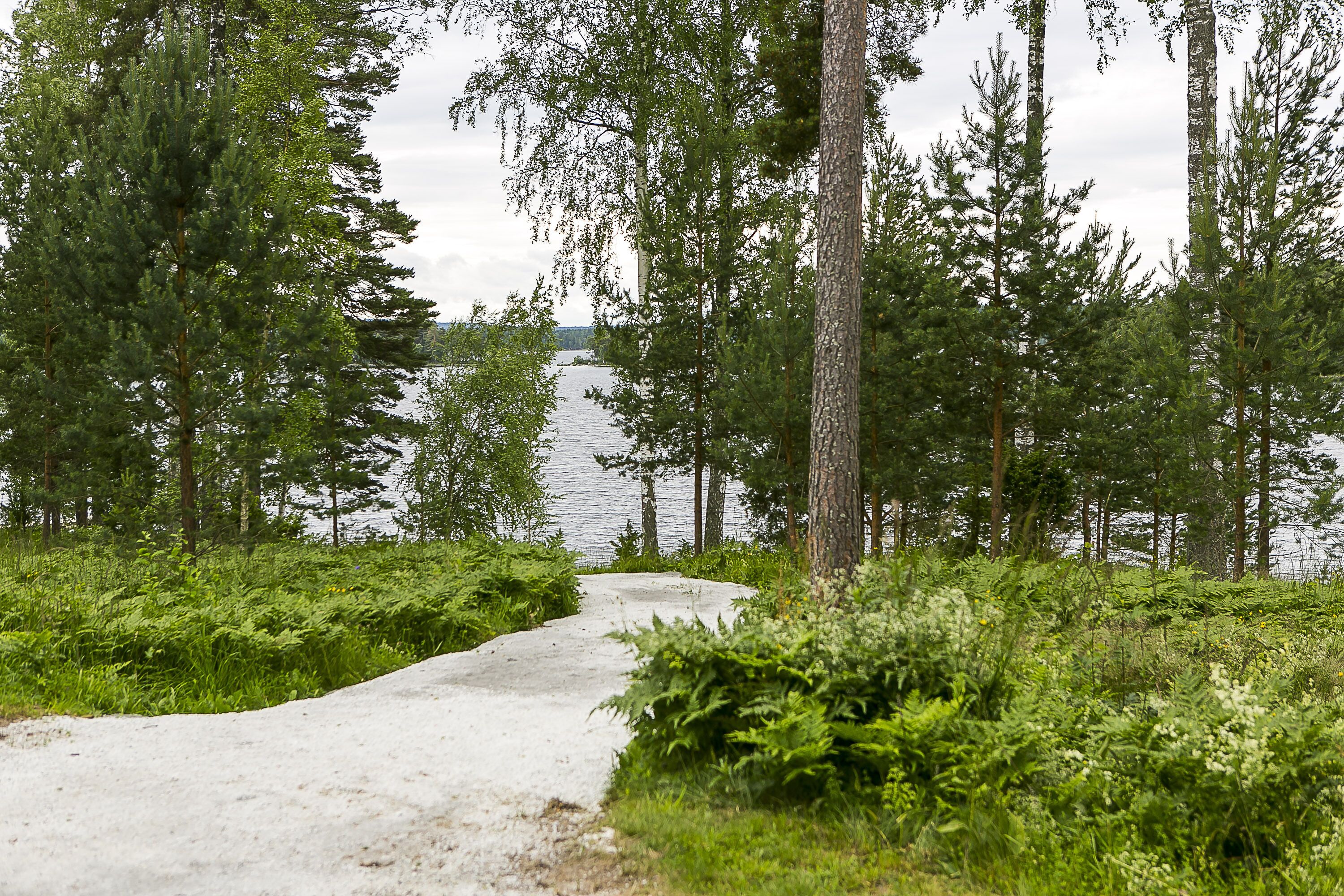 位於海灘上、划獨木舟