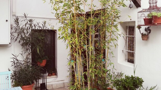 Villa, 2 Bedrooms, Garden View | Terrace/patio - La Volta (Pulsano)