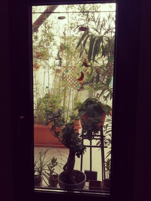 Vista desde la habitación