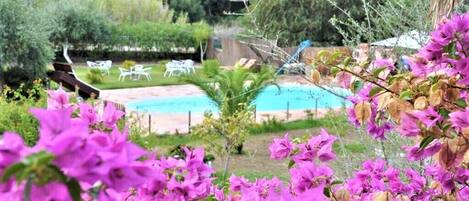 Basic Double Room, 1 Double Bed | Garden view