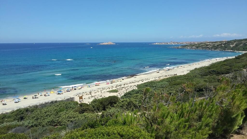 Una spiaggia costiera con acque blu cristalline, una riva sabbiosa e una vegetazione rigogliosa.