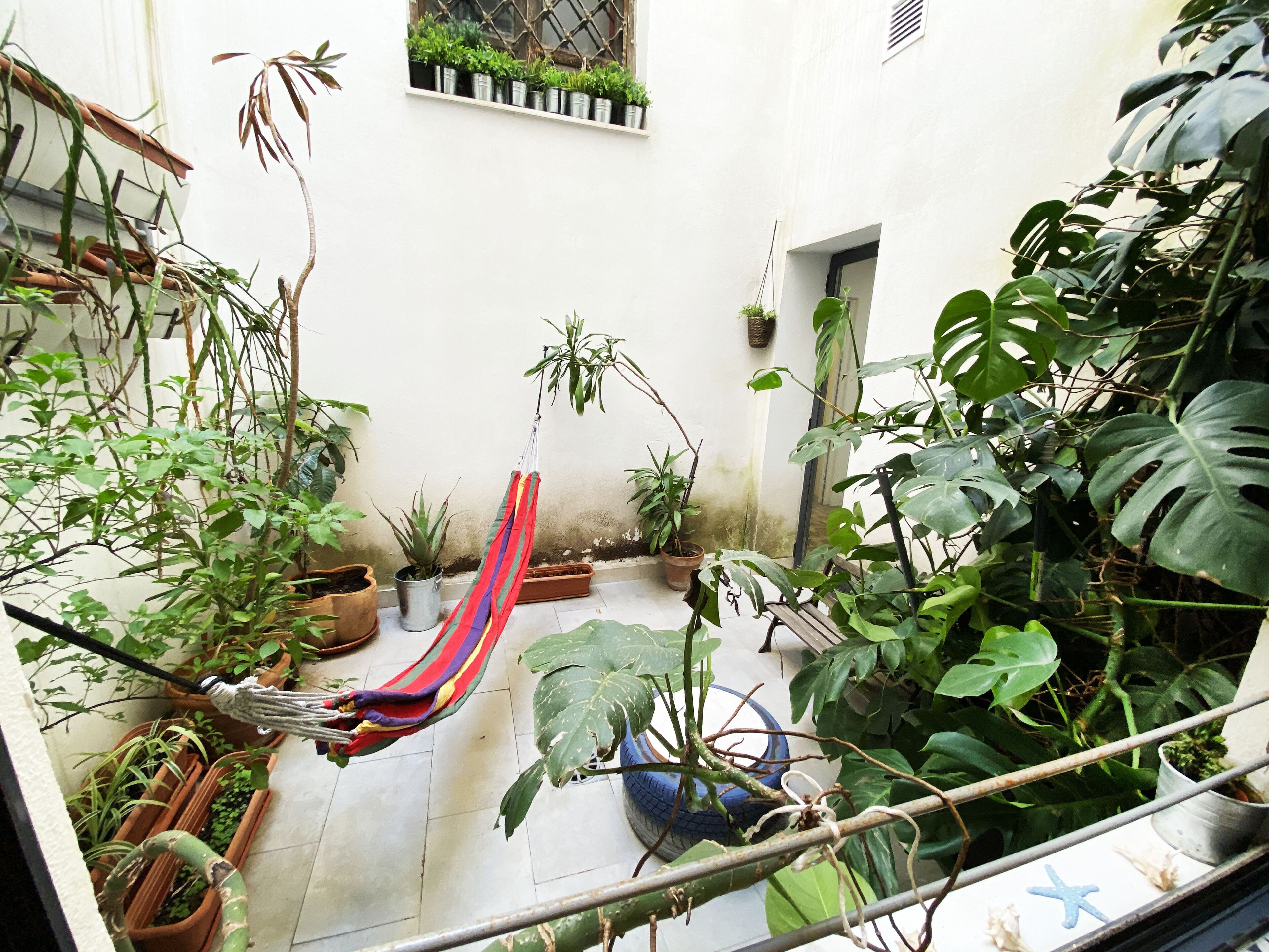 Foto - ECO Hostel