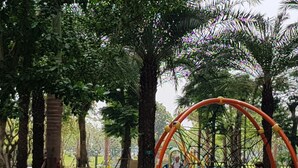 Ein Spielplatz mit einer Kletterkonstruktion aus Netzen und Schaukeln, umgeben von üppigem Grün.