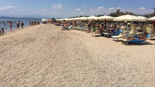 Una playa con filas de tumbonas y sombrillas, una orilla arenosa y gente nadando y relajándose.
