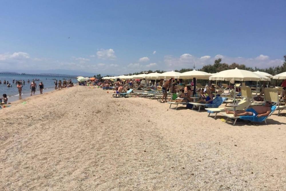 B&B Il Vigneto