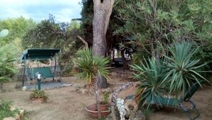 Un jardín con plantas en macetas, un árbol y una estructura verde.