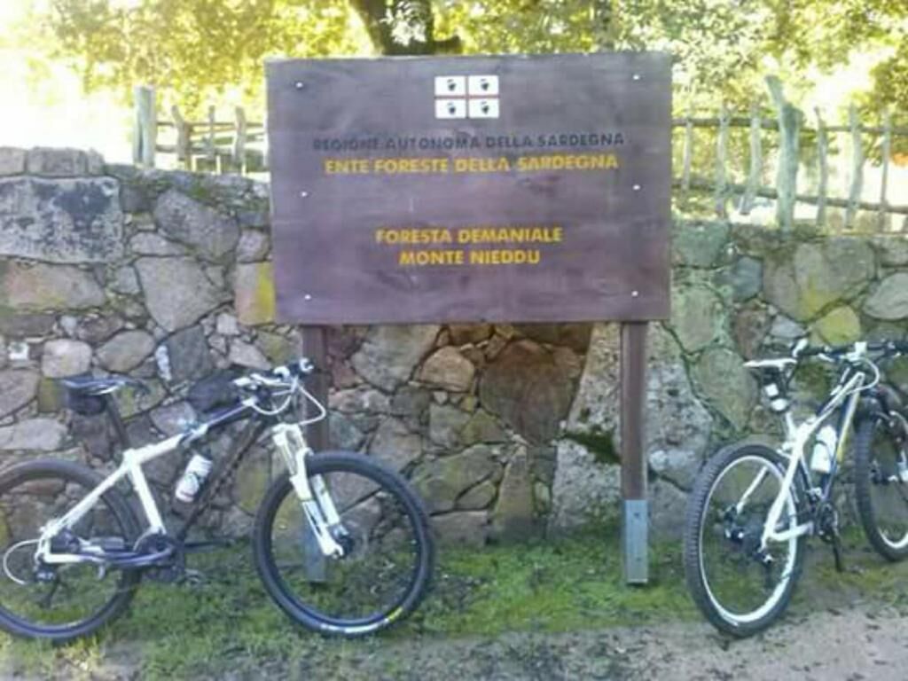 Bersepeda
