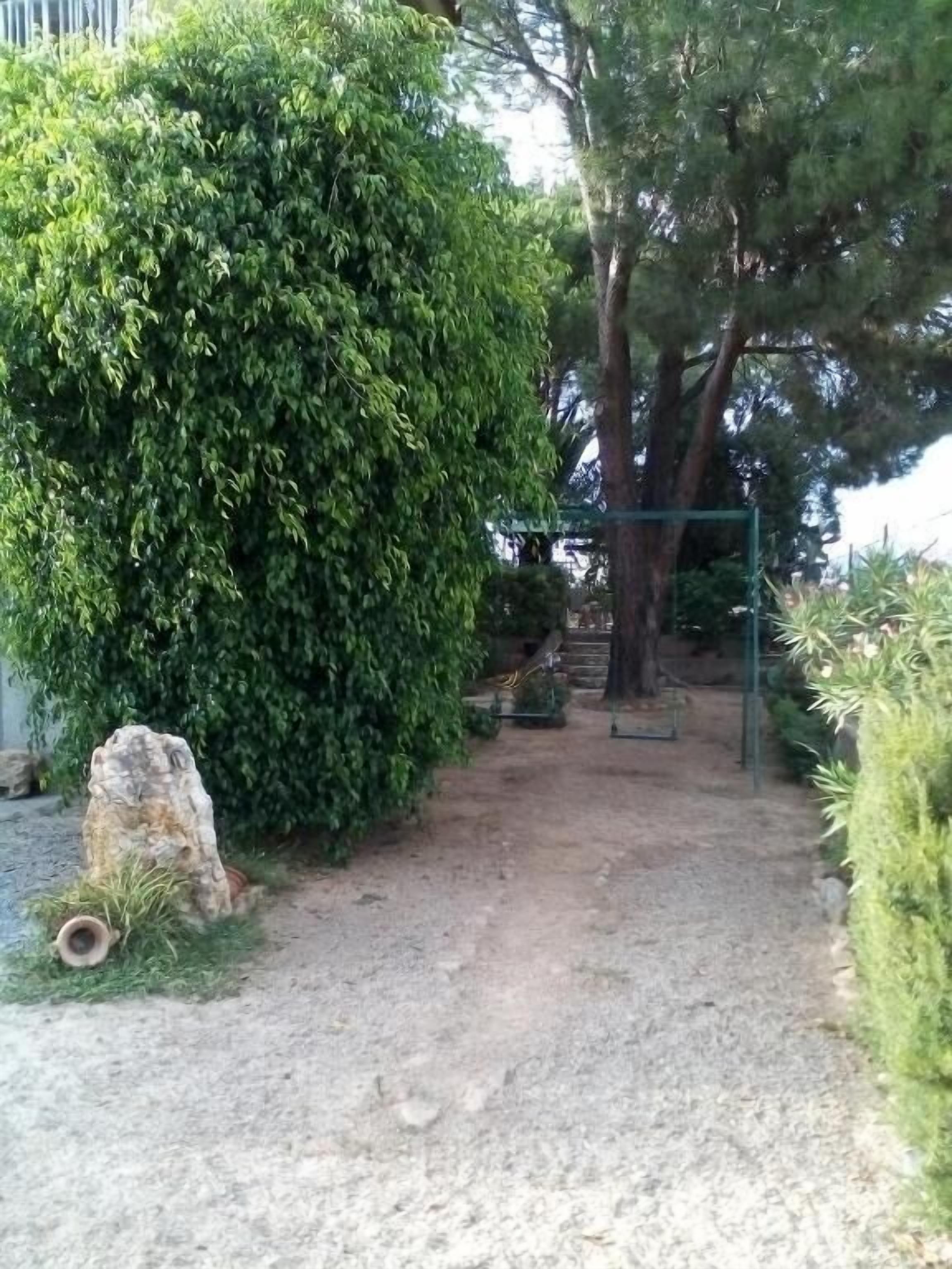 Ein Kiesweg führt zu einer Holzhütte mit einem Metallgitter, umgeben von dichtem Grün und einem großen Baum.