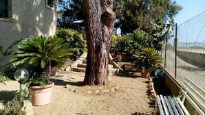 Un sendero arenoso que conduce a un banco de madera, rodeado de plantas en macetas y una valla.