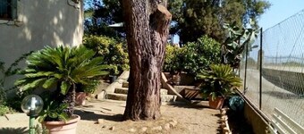 B&B Il Vigneto