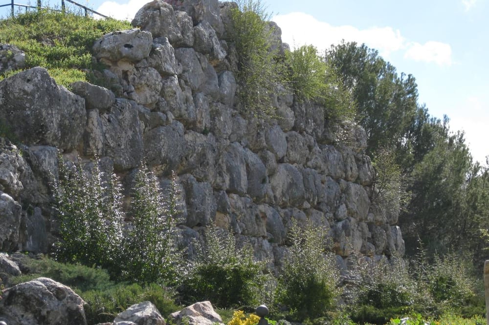 Hotel Torrezaf