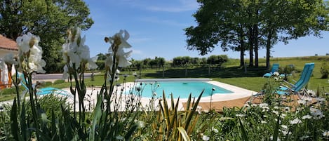 Outdoor pool, pool umbrellas, sun loungers