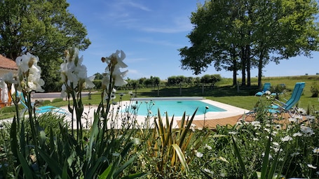 Alberca al aire libre, sombrillas en la alberca y camastros