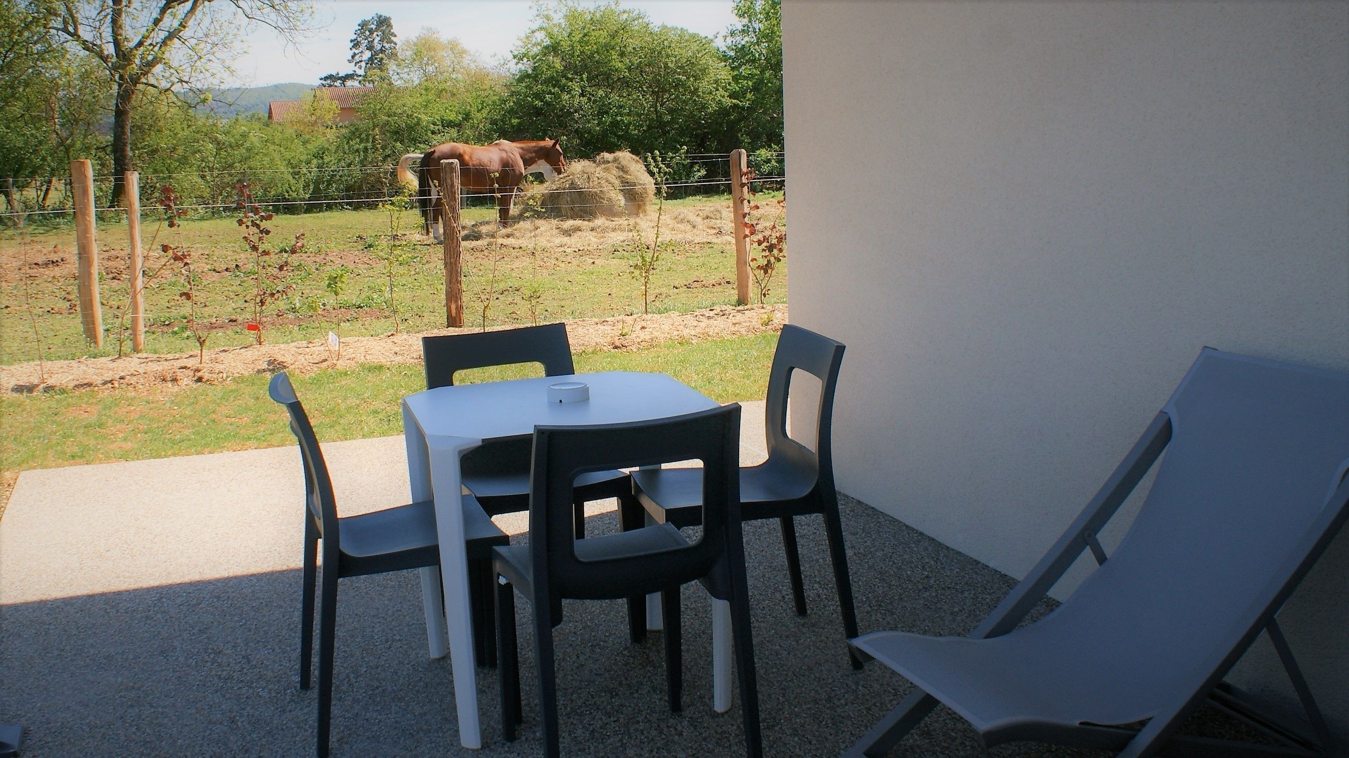 garden suite, 3/4 people | terrace/patio