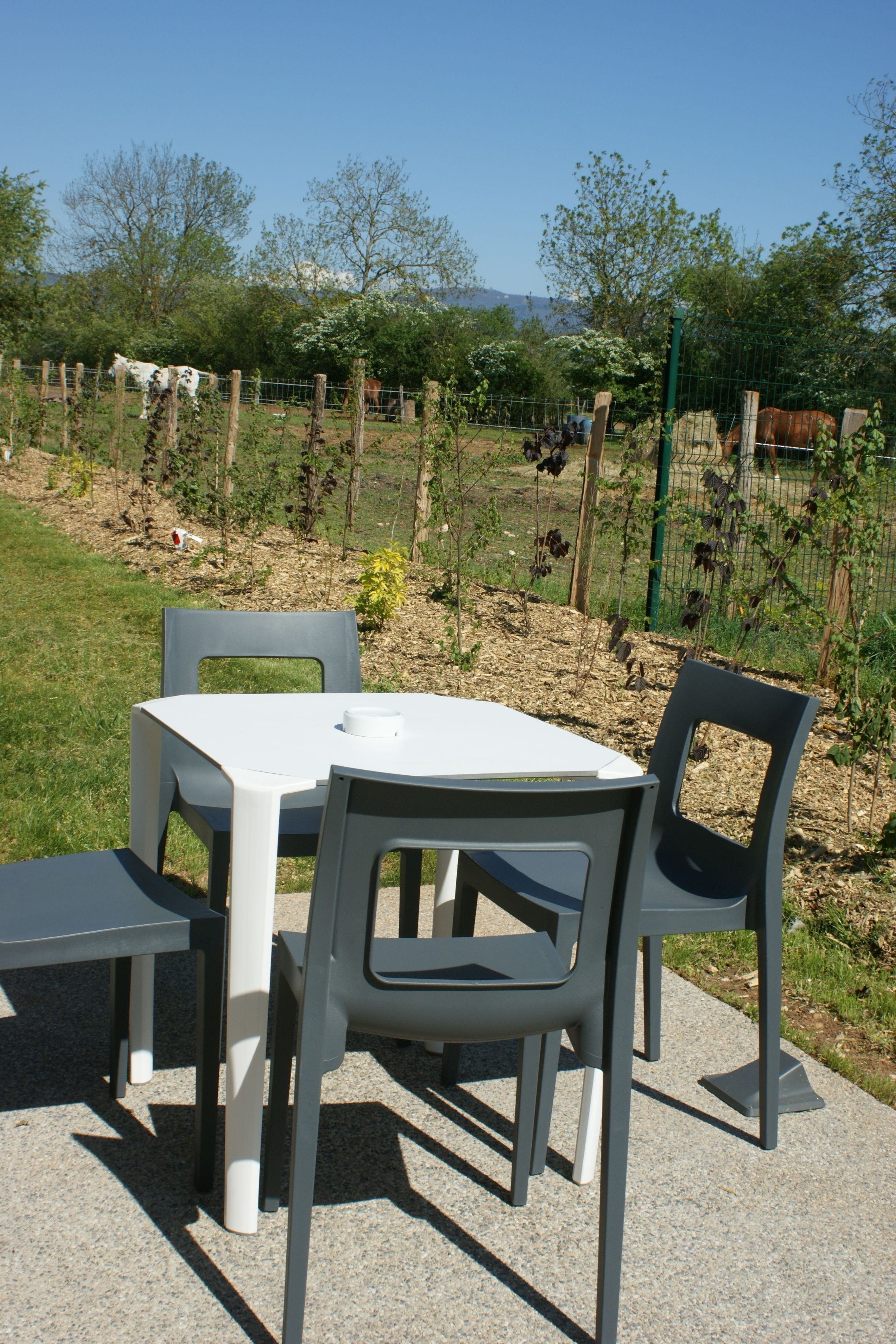 garden suite, 3/4 people | terrace/patio