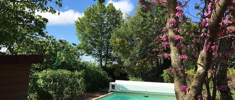 Una piscina al aire libre de temporada, sombrillas, tumbonas