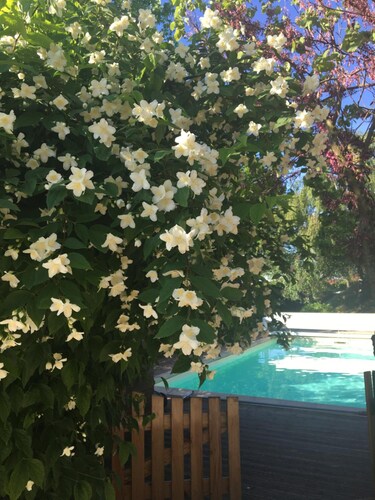 L'Escale Du Loup Blanc