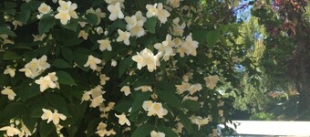 L'Escale Du Loup Blanc