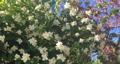 L'Escale Du Loup Blanc