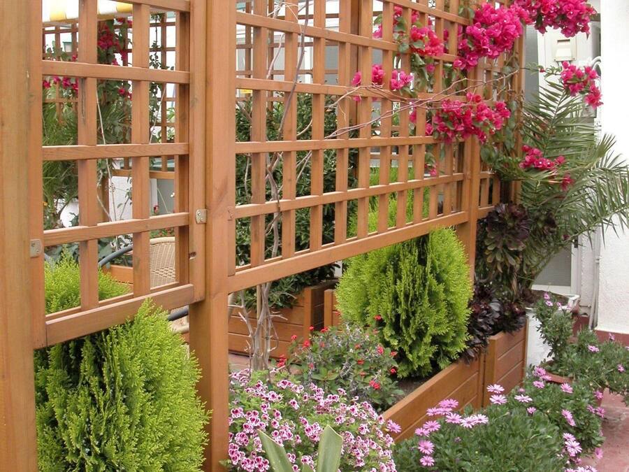 Una valla de celosía de madera con diversas plantas y flores.