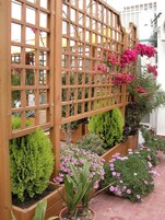 Uma cerca de madeira com treliça e diversas plantas e flores.