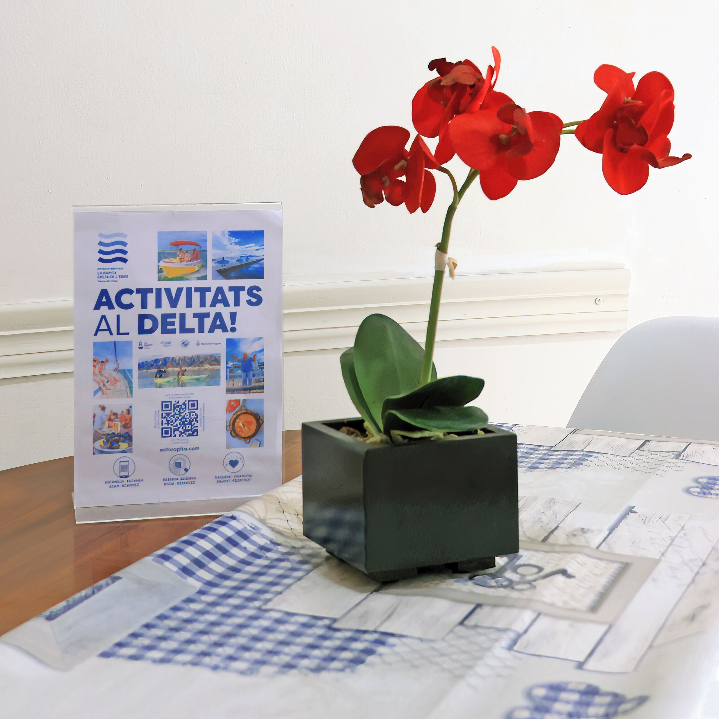 Photo - Agusti Hostal