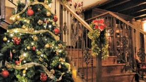 Un sapin de Noël décoré d’ornements et de guirlandes lumineuses, placé dans un escalier doté d’une rambarde en bois.