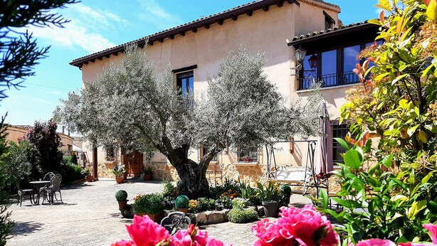 Une cour intérieure avec un bâtiment, des plantes en pot et du mobilier d’extérieur.