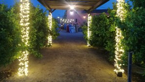 A covered walkway with string lights and greenery. - Casa Rurales Ventaseca (Mazarron)