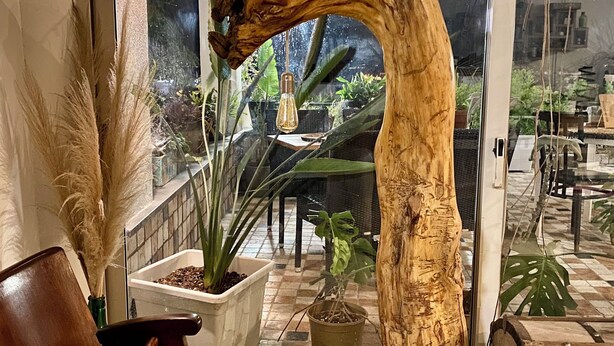 Um interior moderno com estrutura curva em madeira, plantas em vasos e uma área de estar.