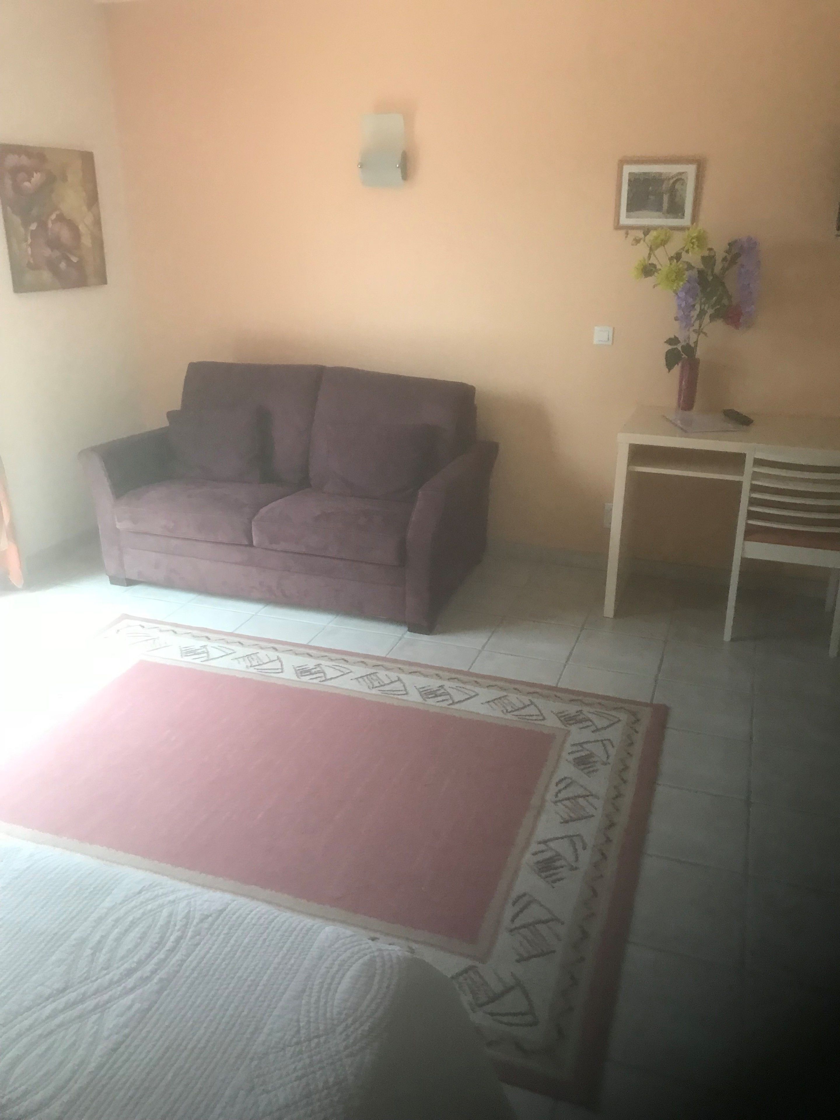 A living room with a sofa, a small table with a vase, and a rug.