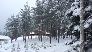 A snowy forest with tall trees and a cabin in the background. - Kalina Apartments (Savonlinna)