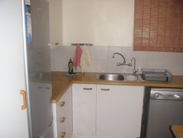 Una cocina pequeña con un lavamanos, un escurreplatos y un refrigerador.