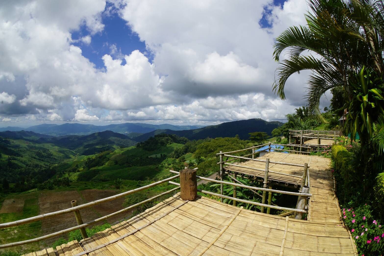 Vue sur les montagnes