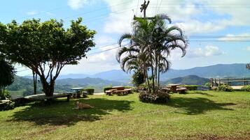 A grassy outdoor area with picnic tables and a palm tree, overlooking a mountainous landscape.
