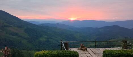 Vista al atardecer desde una terraza de madera con vista a un valle, donde un perro está sentado.