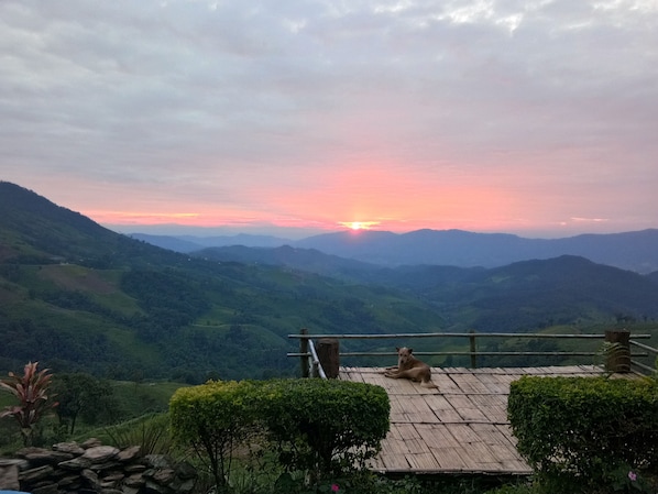 Vista al atardecer desde una terraza de madera con vista a un valle, donde un perro está sentado.