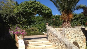 A stone staircase leading up to a stone wall with a palm tree and a large tree in the background. - Casale dei Fornici (Polignano a Mare)