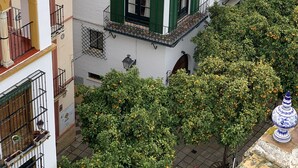 A white building with green shutters and balconies, surrounded by trees and other buildings. - Rey Don Pedro Luxury Home (Seville)