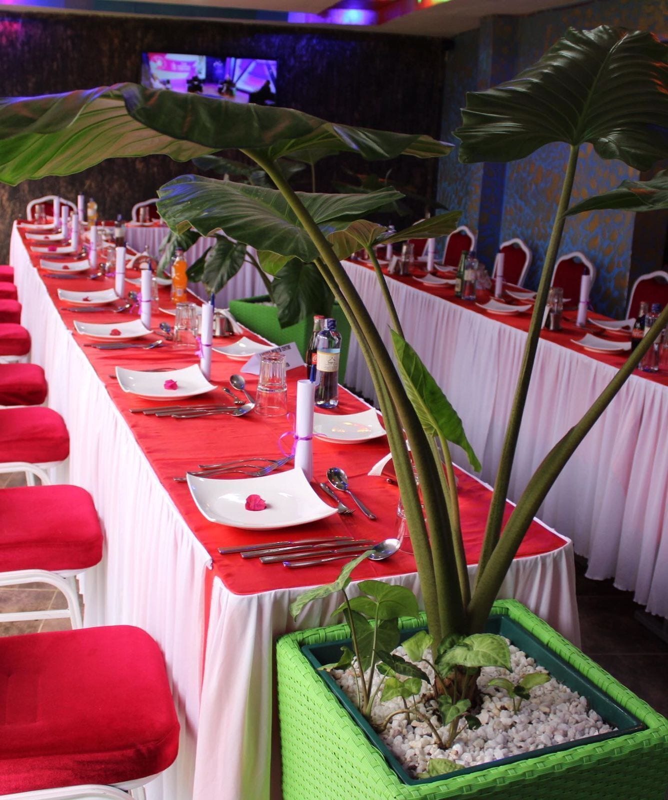 行政双人房 | 露台