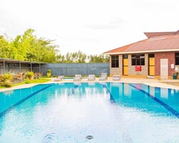 Outdoor pool, sun loungers