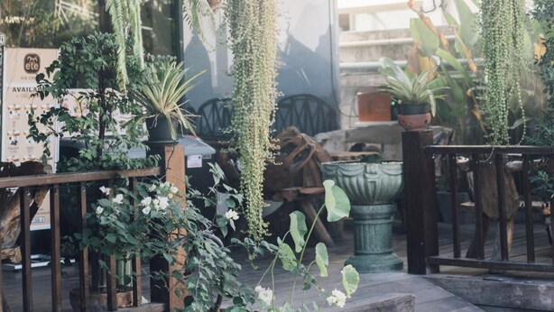 A storefront with the sign "KRISTI HOUSE" and various potted plants and greenery in front. - Kristi House (Chiang Mai)
