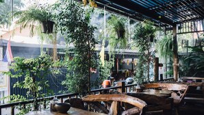An indoor restaurant with wooden tables and chairs, surrounded by hanging plants and a view of the street. - Kristi House (Chiang Mai)