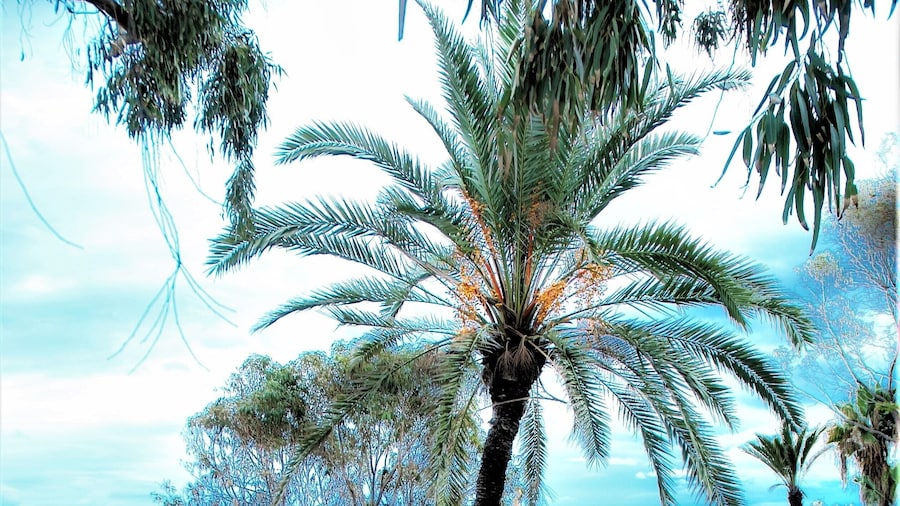 Botaniq Hotel Boutique