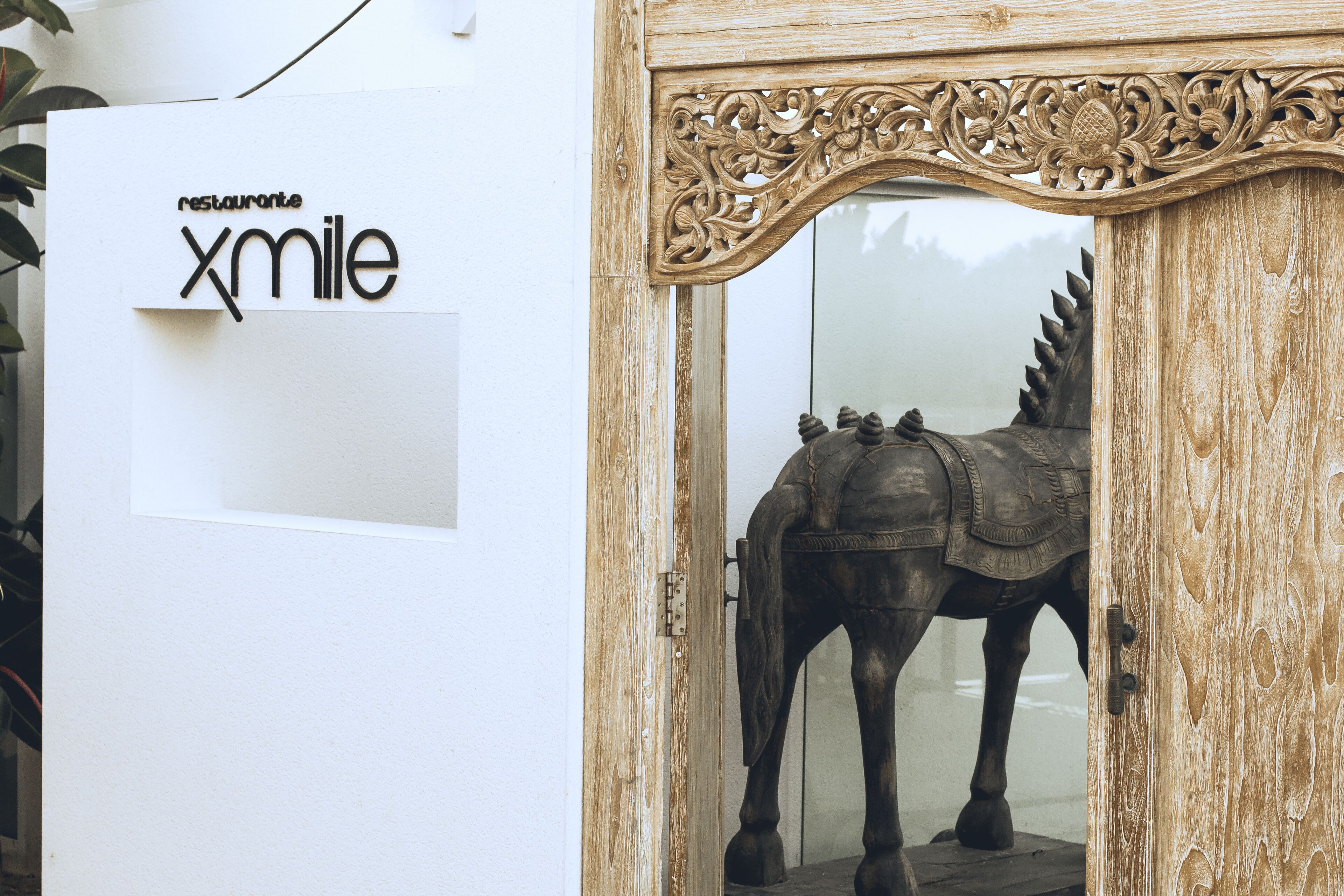 Foto - Botaniq Hotel Boutique